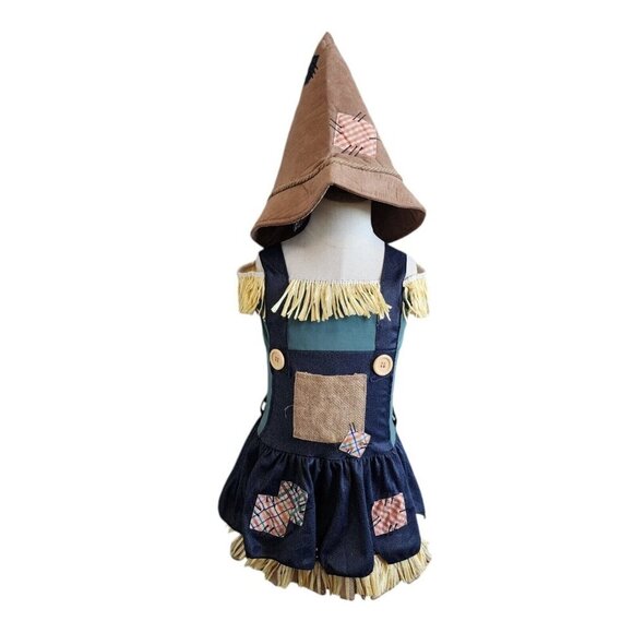 Wizard of Oz Scarecrow Patchwork Straw Hay Dress Halloween Costume w/Hat S/4-6 - Picture 2 of 10